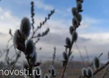 Когда птица гнезда не вьёт: приметы на Благовещение