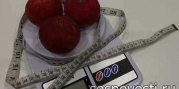 С какой целью можно применять разгрузочные дни