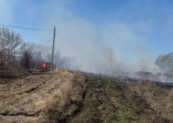 Ветер и пламя: огнеборцы ликвидировали пожар в Сосновском округе