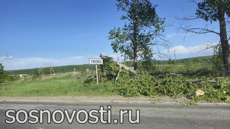 В Ужовке тополя рухнули на автодорогу