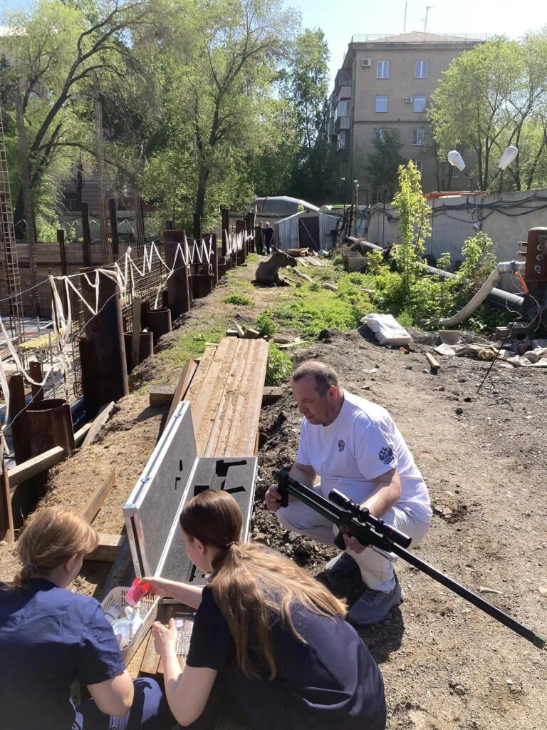 Лосиху, заблудившуюся в Челябинске, доставили в родной лес