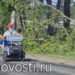 В Ужовке тополя рухнули на автодорогу
