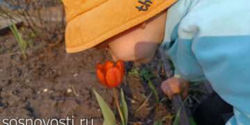 На Южный Урал с юга придет тепло