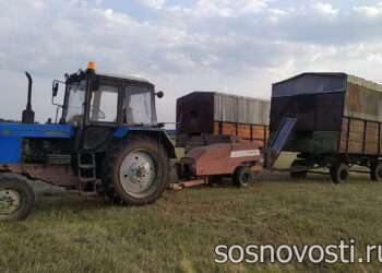 «Трактор старый, земля глинистая»: с чего начиналось фермерство