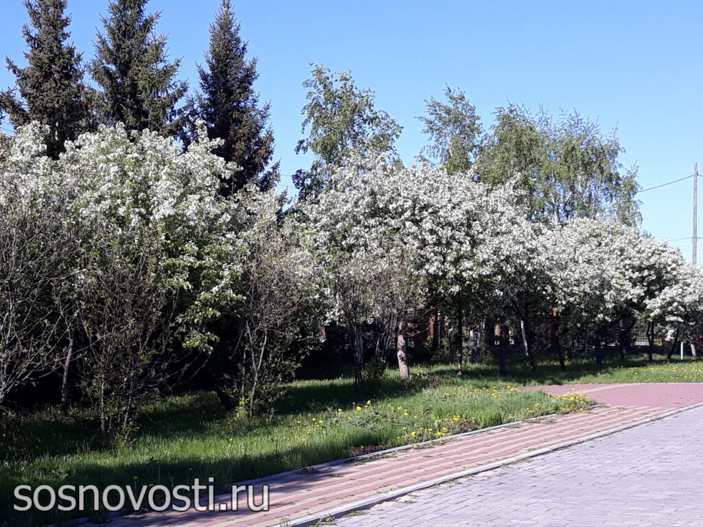 В выходные дни на Южном Урале может сильно похолодать