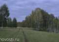 Челябинскую область ожидают проливные выходные