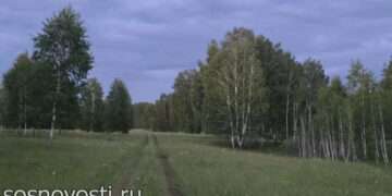 Челябинскую область ожидают проливные выходные