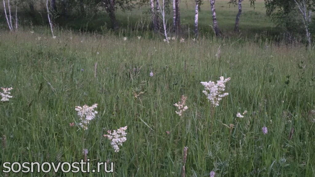 Челябинскую область ожидают проливные выходные