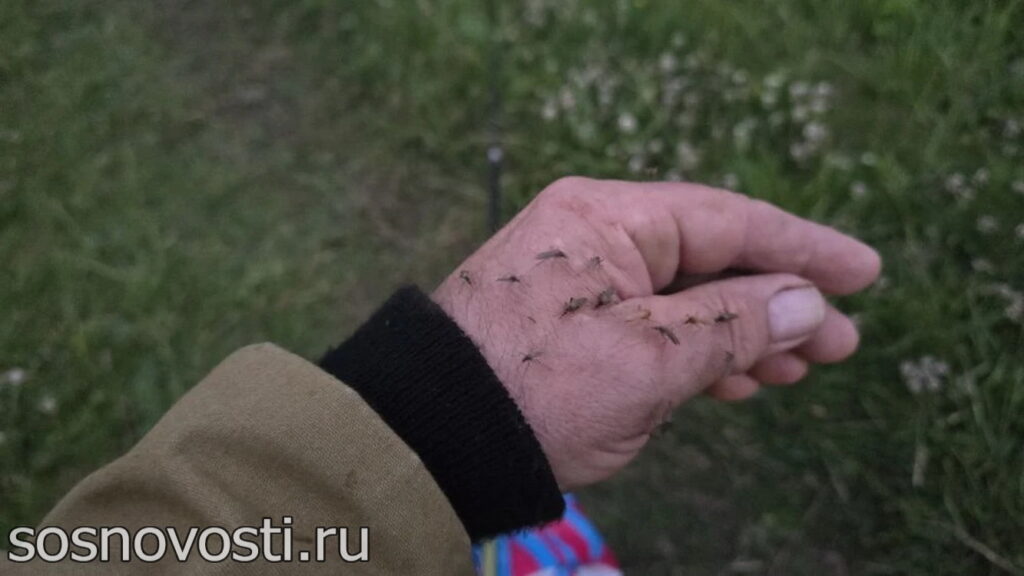 Челябинскую область ожидают проливные выходные