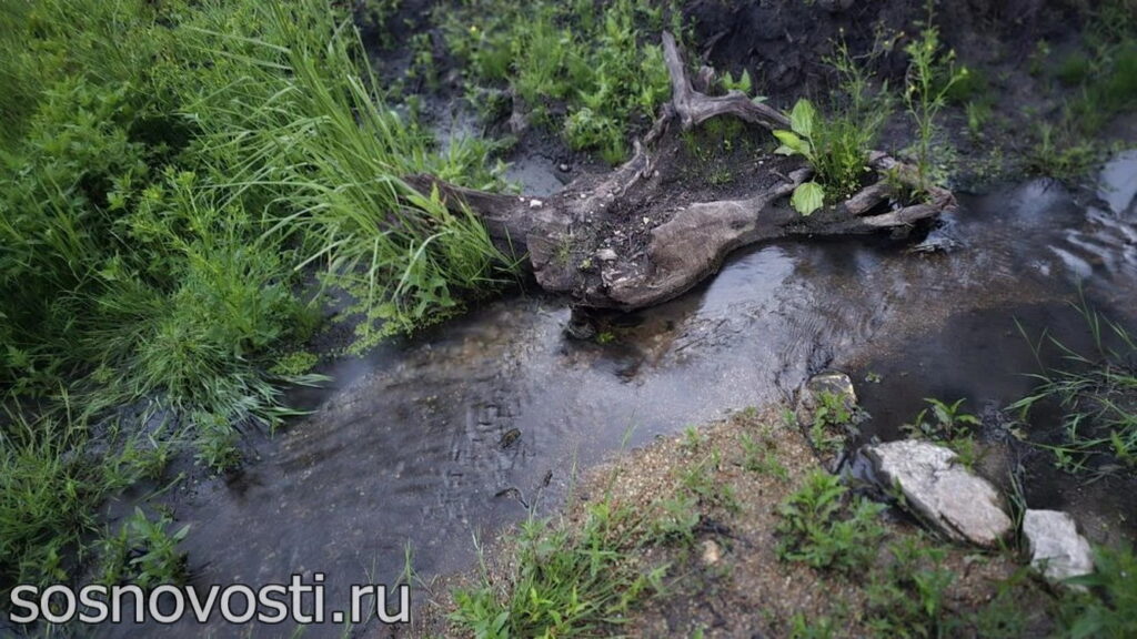 Челябинскую область ожидают проливные выходные