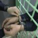 В Сосновском округе по горячим следам задержали мужчину