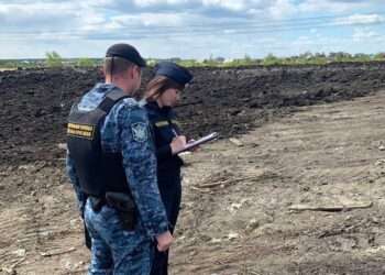 Приставы заставили собственника убрать свалку на территории заказника