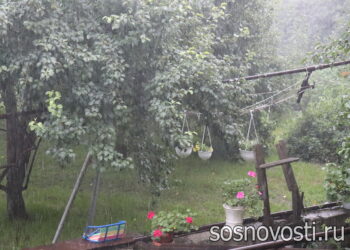 Сезон зонтов: на Южный Урал снова идут дожди