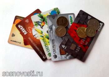 Жительницу Сосновского округа осудили за дропперство