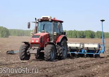 На сосновских полях появились дружные всходы