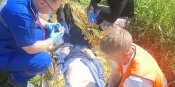 В лесу Сосновского округа нашли 84-летнего пенсионера