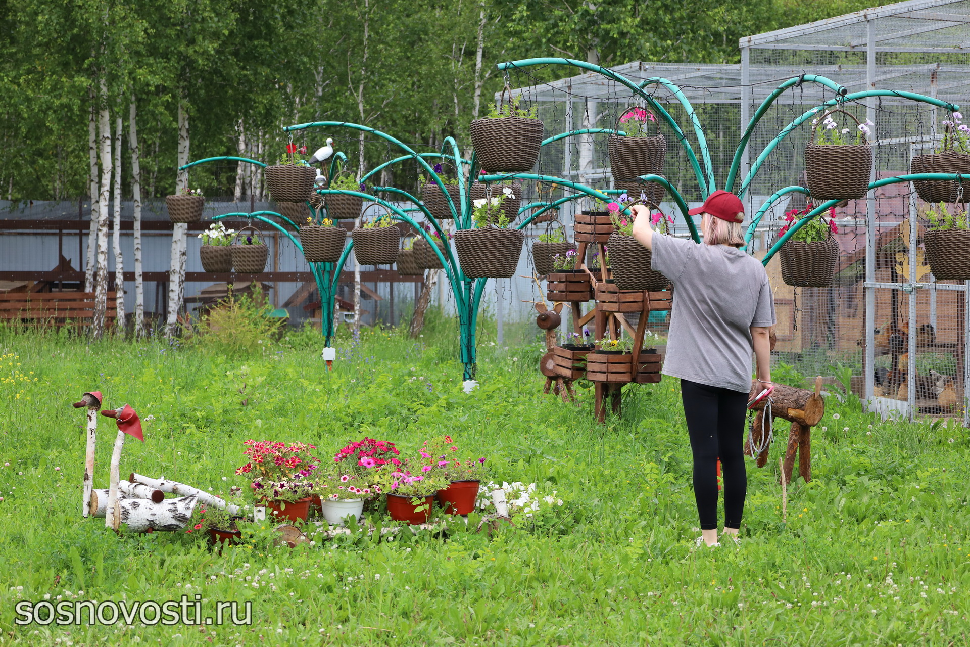 Птичий хутор из Сосновского округа вошел в число лучших туристических проектов России