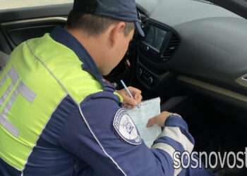 Южноуральские автоинспекторы отстранили от вождения более 200 нетрезвых водителей