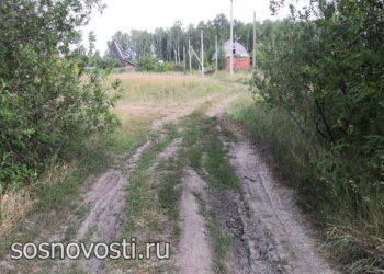 Изменились реквизиты для арендодателей земельных участков в Сосновском округе