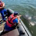На озере Большой Кременкуль погиб сапбордист