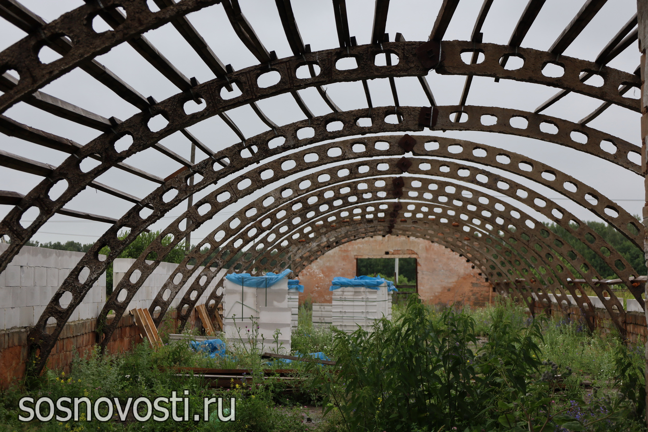 Молодой фермер из Сосновского округа продолжает семейное дело