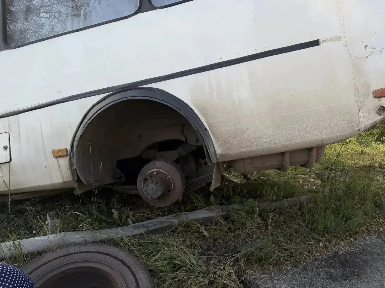 Пассажирский автобус врезался в дерево во время рейса