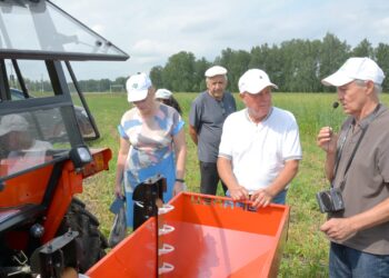 Урожай-2026: как сохранить картофель до весны и какие сорта в тренде