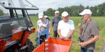 Урожай-2026: как сохранить картофель до весны и какие сорта в тренде