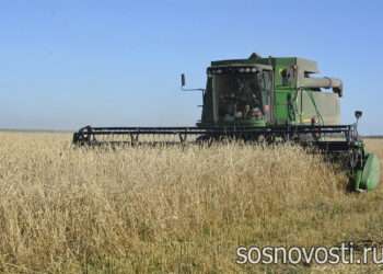 У зерновых Сосновского округа самая высокая урожайность