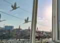 Сегодня – День солидарности в борьбе с терроризмом