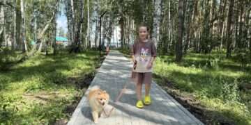 Зеленый уголок: в Рощино завершили благоустройство парка у детского сада