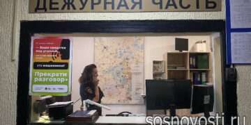 Жительница Сосновского округа лишилась крупной суммы денег и автомобиля