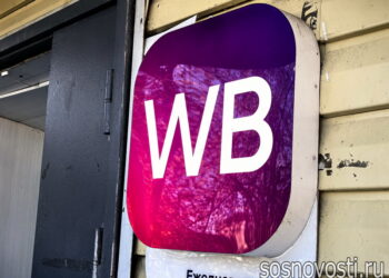 В Челябинской области запустили программу поддержки предпринимателей, пострадавших от атак БПЛА на объекты маркетплейсов