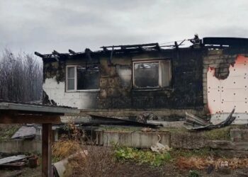Оставленная без присмотра печь уничтожила дом в Вознесенке