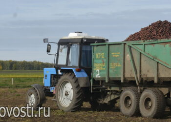Уборочные работы в Сосновском округе подходят к финишу