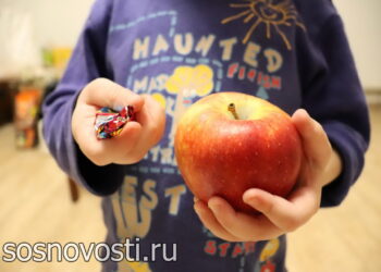 Здоровое питание в школьном возрасте: о чем нужно знать родителям